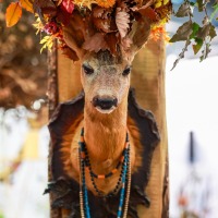 CADEAUX Leipzig | 28. Februar - 2. März 2026